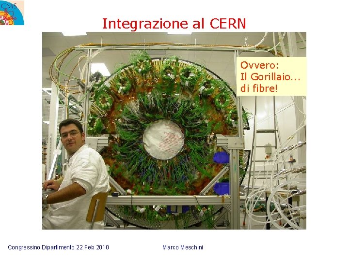 Integrazione al CERN Ovvero: Il Gorillaio. . . di fibre! Congressino Dipartimento 22 Feb
