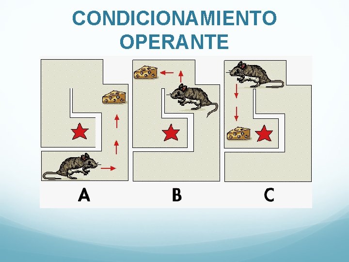 CONDICIONAMIENTO OPERANTE 