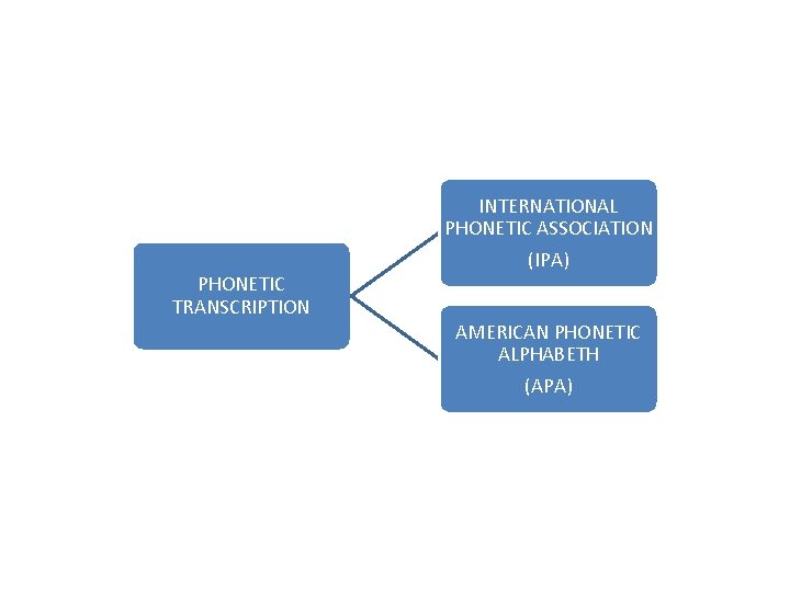 PHONETIC TRANSCRIPTION INTERNATIONAL PHONETIC ASSOCIATION (IPA) AMERICAN PHONETIC ALPHABETH (APA) 