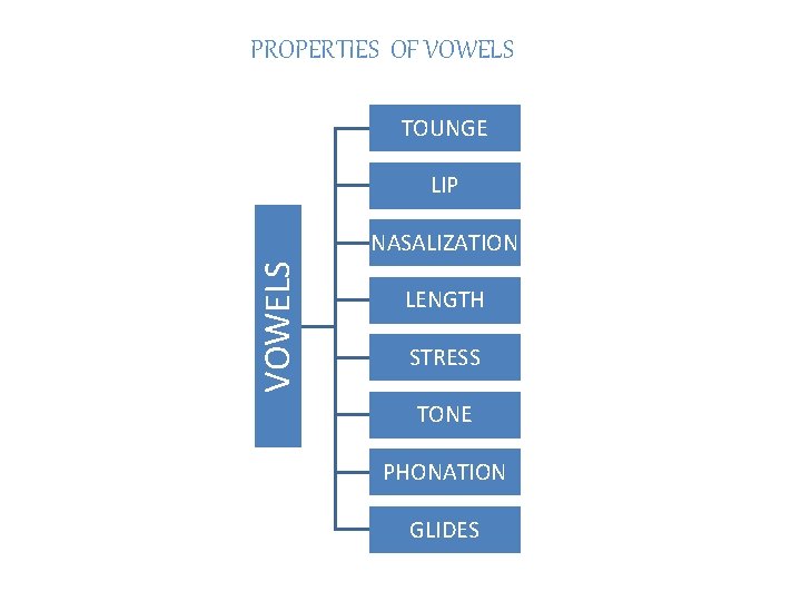 PROPERTIES OF VOWELS TOUNGE LIP VOWELS NASALIZATION LENGTH STRESS TONE PHONATION GLIDES 