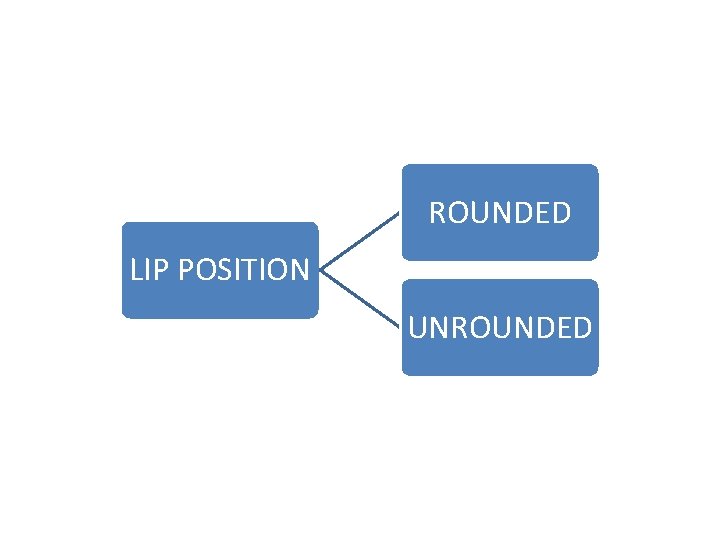 ROUNDED LIP POSITION UNROUNDED 