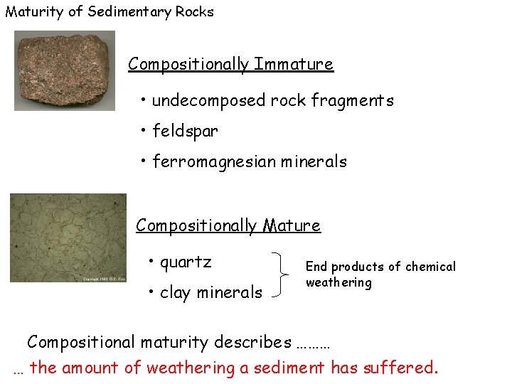 Maturity of Sedimentary Rocks Compositionally Immature • undecomposed rock fragments • feldspar • ferromagnesian
