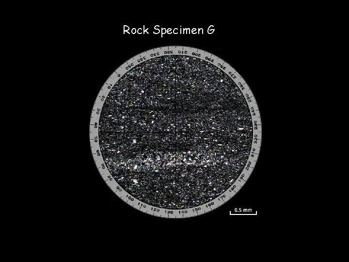 Rock Specimen G 
