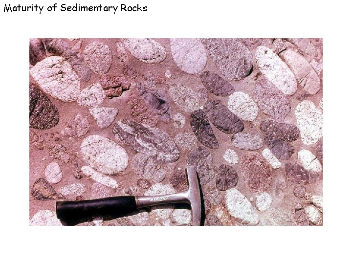 Maturity of Sedimentary Rocks 