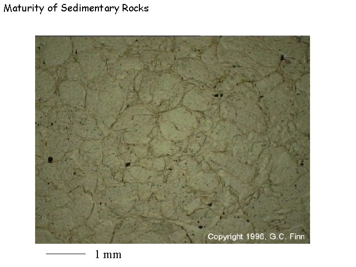 Maturity of Sedimentary Rocks 1 mm 