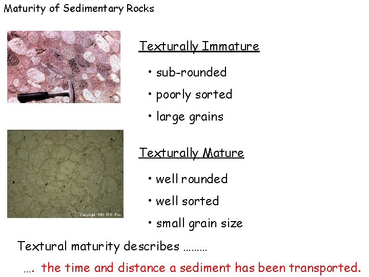 Maturity of Sedimentary Rocks Texturally Immature • sub-rounded • poorly sorted • large grains