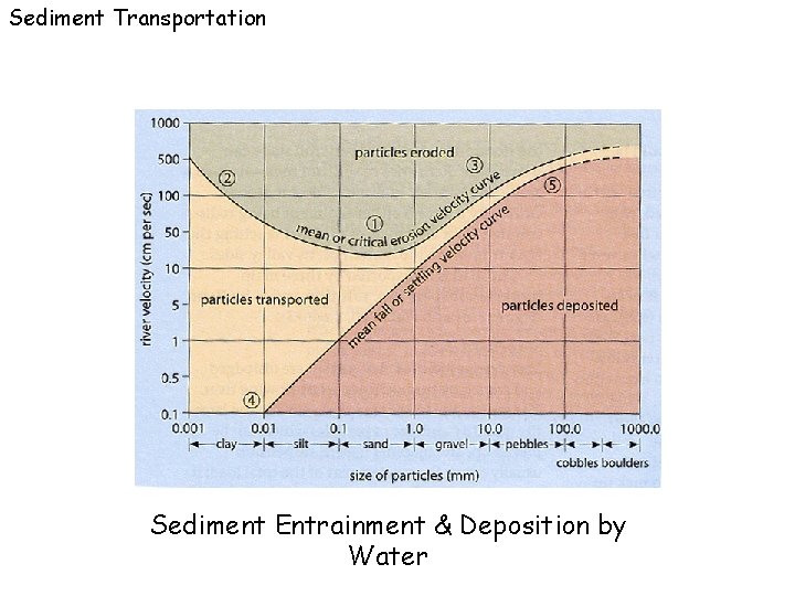 Sediment Transportation Sediment Entrainment & Deposition by Water 