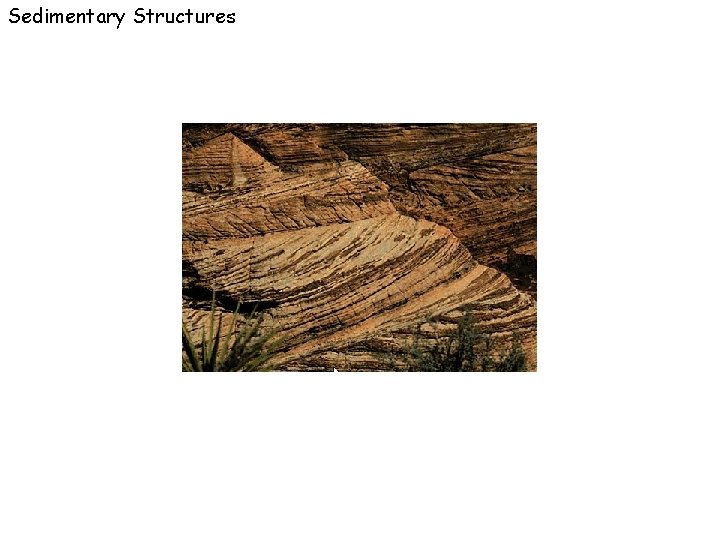 Sedimentary Structures 