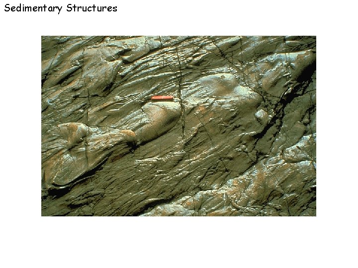 Sedimentary Structures 