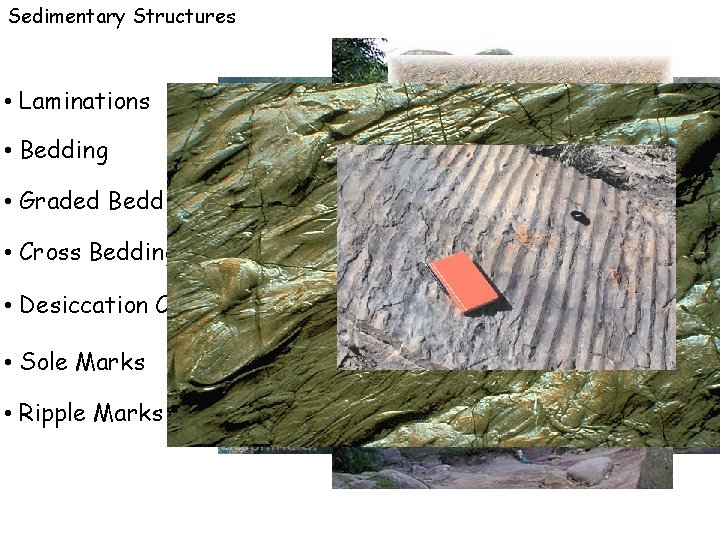 Sedimentary Structures • Laminations • Bedding • Graded Bedding • Cross Bedding • Desiccation