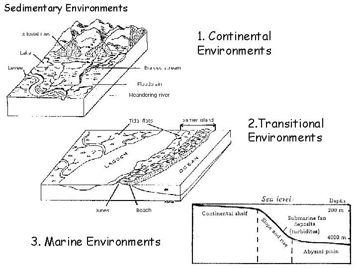Sedimentary Environments 1. Continental Environments 2. Transitional Environments 3. Marine Environments 