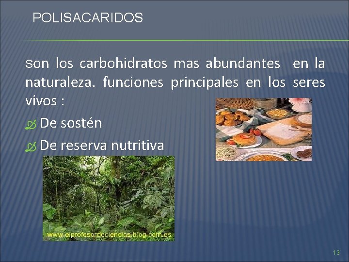 POLISACARIDOS Son los carbohidratos mas abundantes en la naturaleza. funciones principales en los seres