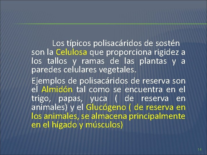 Los típicos polisacáridos de sostén son la Celulosa que proporciona rigidez a los tallos