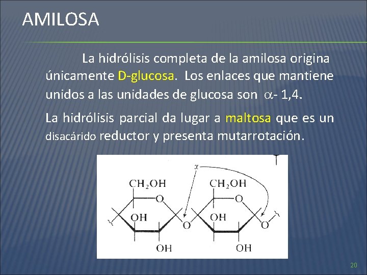 AMILOSA La hidrólisis completa de la amilosa origina únicamente D-glucosa. Los enlaces que mantiene