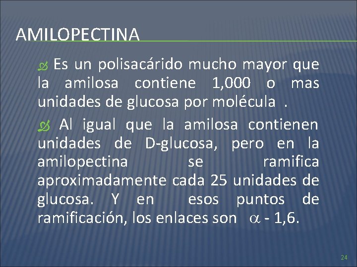 AMILOPECTINA Es un polisacárido mucho mayor que la amilosa contiene 1, 000 o mas