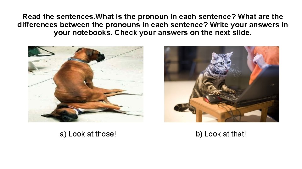 Read the sentences. What is the pronoun in each sentence? What are the differences