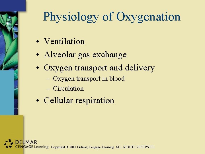 Physiology of Oxygenation • Ventilation • Alveolar gas exchange • Oxygen transport and delivery