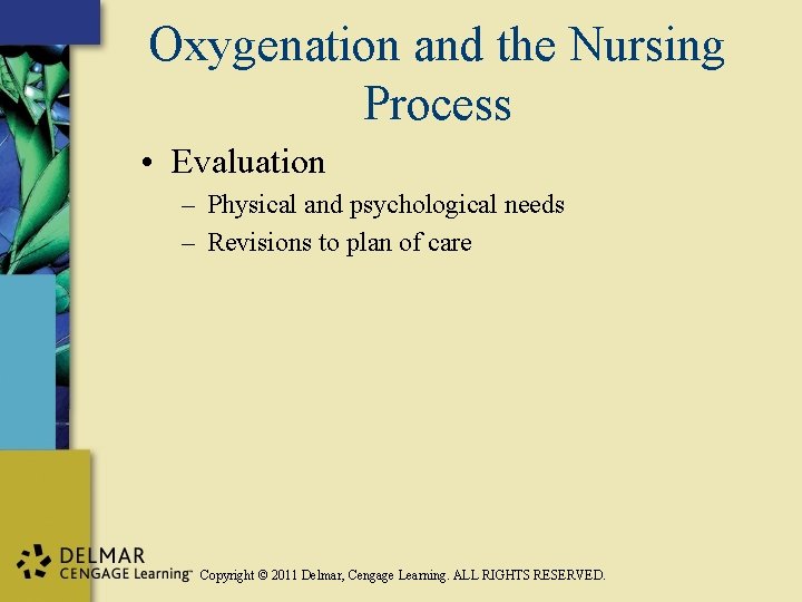 Oxygenation and the Nursing Process • Evaluation – Physical and psychological needs – Revisions