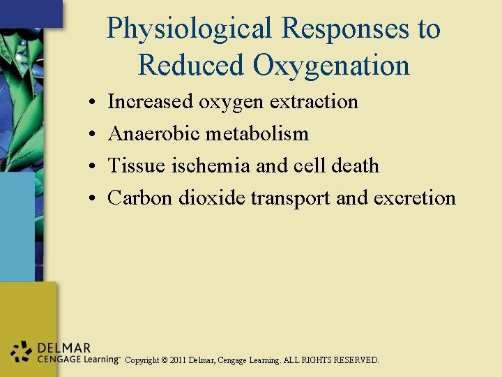 Physiological Responses to Reduced Oxygenation • • Increased oxygen extraction Anaerobic metabolism Tissue ischemia