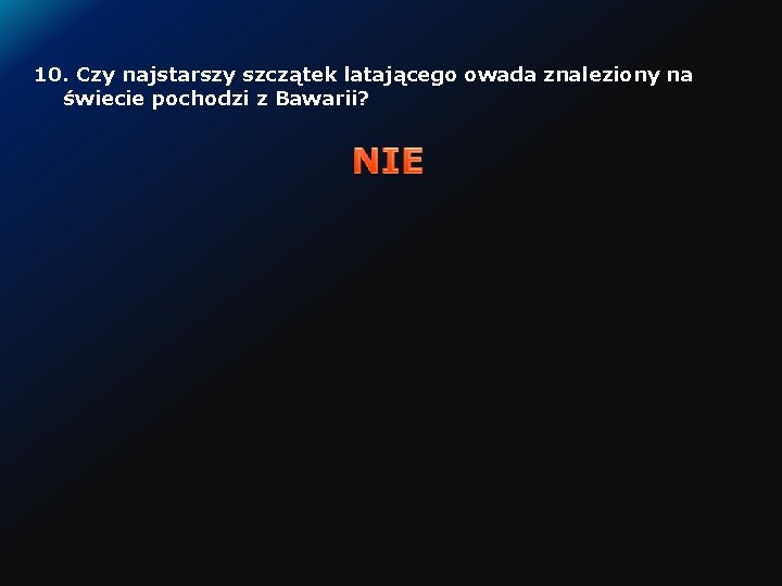 10. Czy najstarszy szczątek latającego owada znaleziony na świecie pochodzi z Bawarii? 