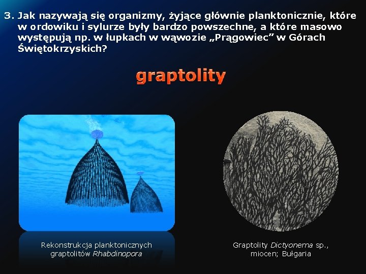 3. Jak nazywają się organizmy, żyjące głównie planktonicznie, które w ordowiku i sylurze były