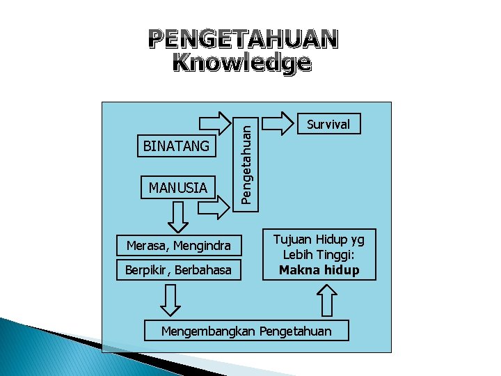 BINATANG MANUSIA Merasa, Mengindra Berpikir, Berbahasa Pengetahuan PENGETAHUAN Knowledge Survival Tujuan Hidup yg Lebih