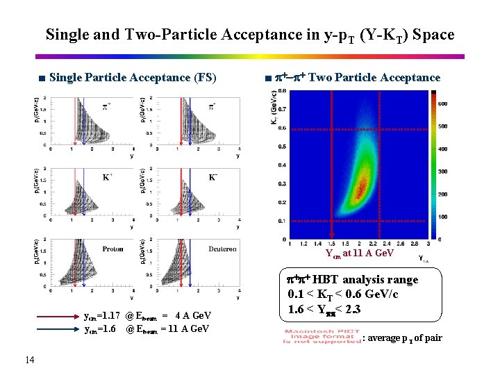 Single and Two-Particle Acceptance in y-p. T (Y-KT) Space ■ Single Particle Acceptance (FS)