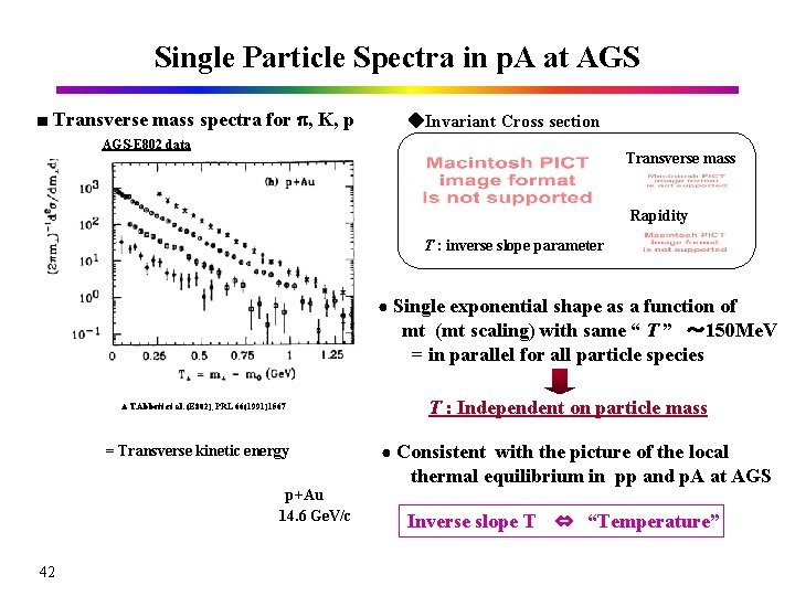 Single Particle Spectra in p. A at AGS ■ Transverse mass spectra for p,