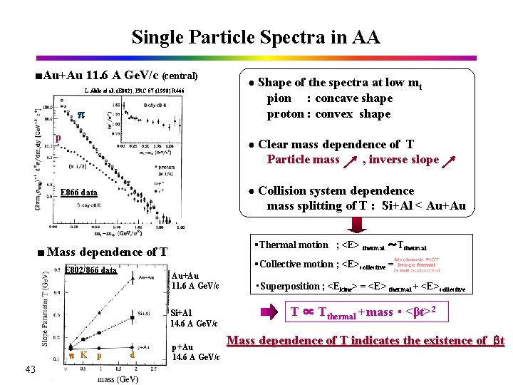 Single Particle Spectra in AA ■Au+Au 11. 6 A Ge. V/c (central) L. Ahle