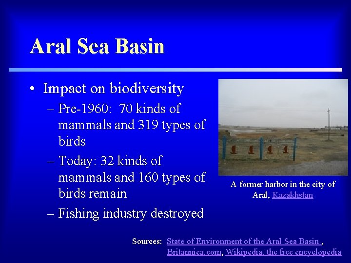 Aral Sea Basin • Impact on biodiversity – Pre-1960: 70 kinds of mammals and