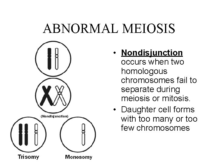 ABNORMAL MEIOSIS • Nondisjunction occurs when two homologous chromosomes fail to separate during meiosis