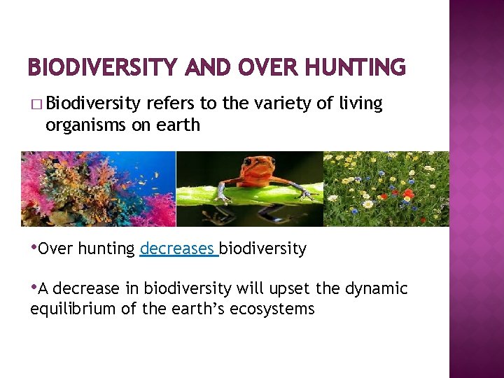 BIODIVERSITY AND OVER HUNTING � Biodiversity refers to the variety of living organisms on