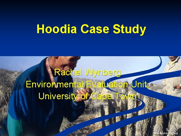 Hoodia Case Study Rachel Wynberg Environmental Evaluation Unit, University of Cape Town Photo: Rachel