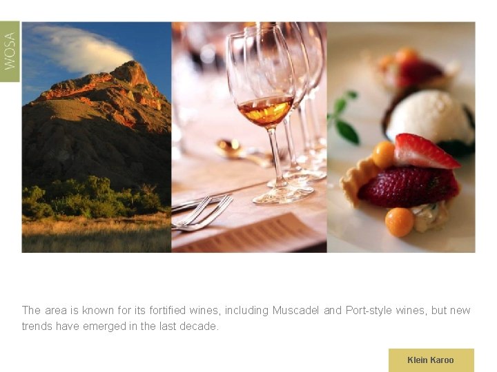 The area is known for its fortified wines, including Muscadel and Port-style wines, but