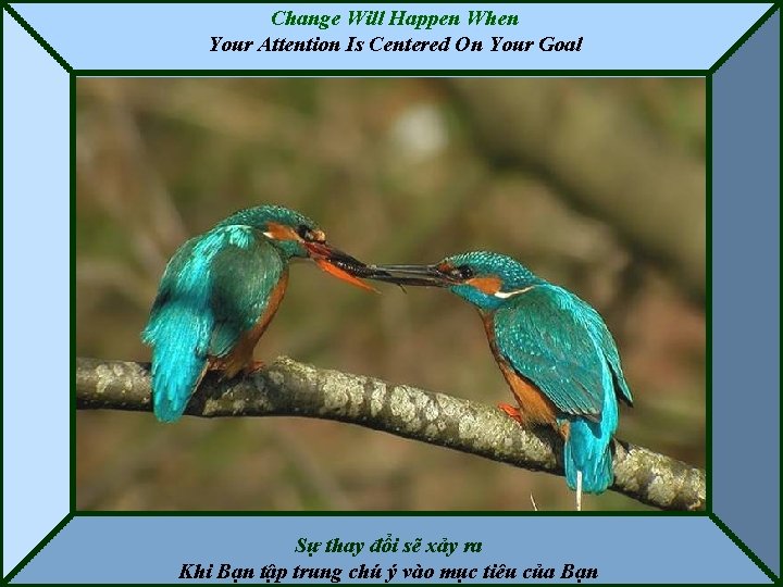 Change Will Happen When Your Attention Is Centered On Your Goal Sự thay đổi