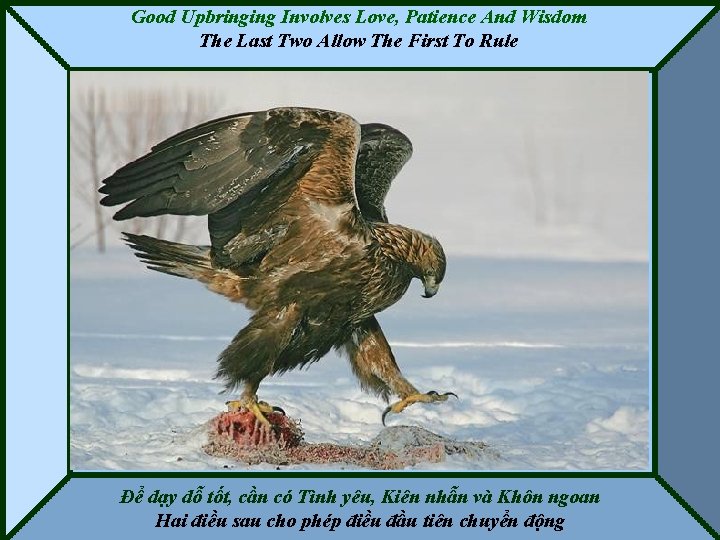 Good Upbringing Involves Love, Patience And Wisdom The Last Two Allow The First To