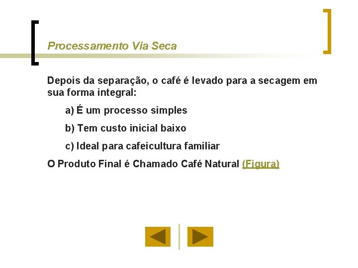 Processamento Via Seca Depois da separação, o café é levado para a secagem em