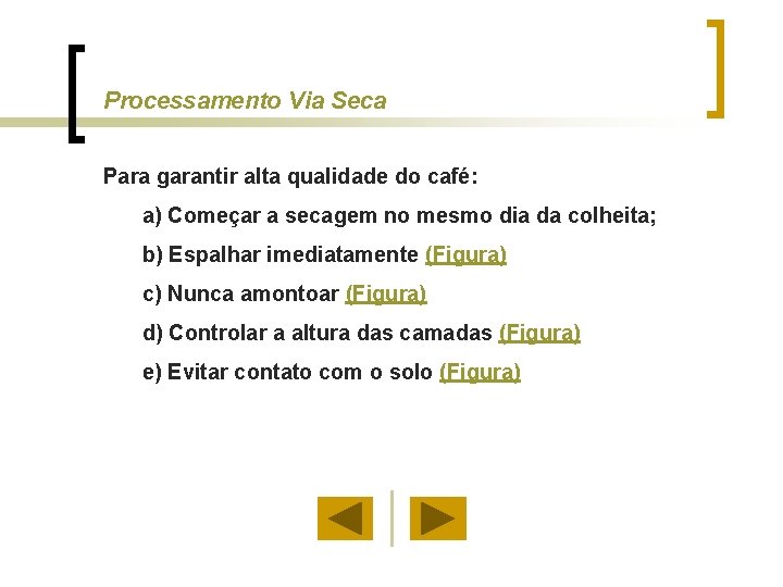 Processamento Via Seca Para garantir alta qualidade do café: a) Começar a secagem no