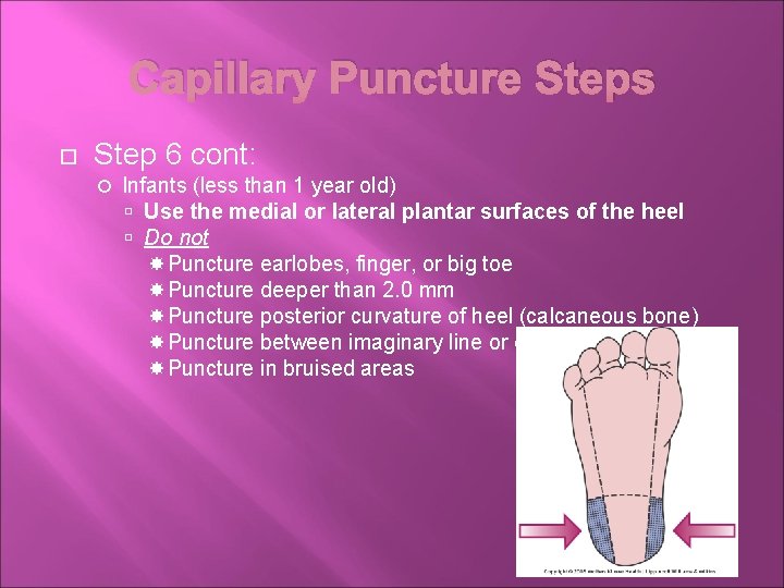 Capillary Puncture Steps Step 6 cont: Infants (less than 1 year old) Use the
