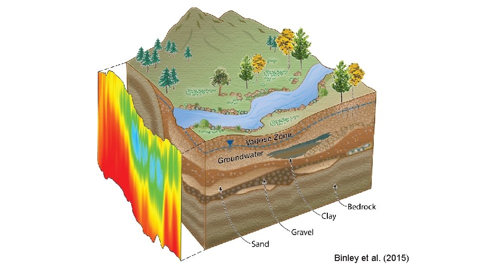 Binley et al. (2015) 