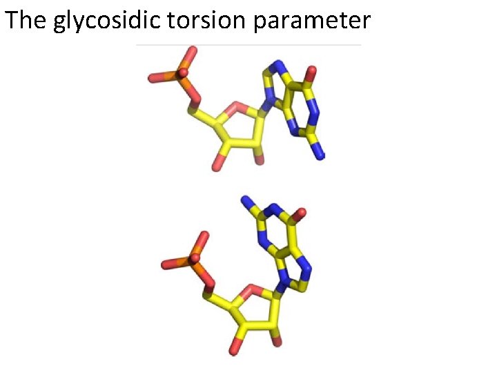 The glycosidic torsion parameter 
