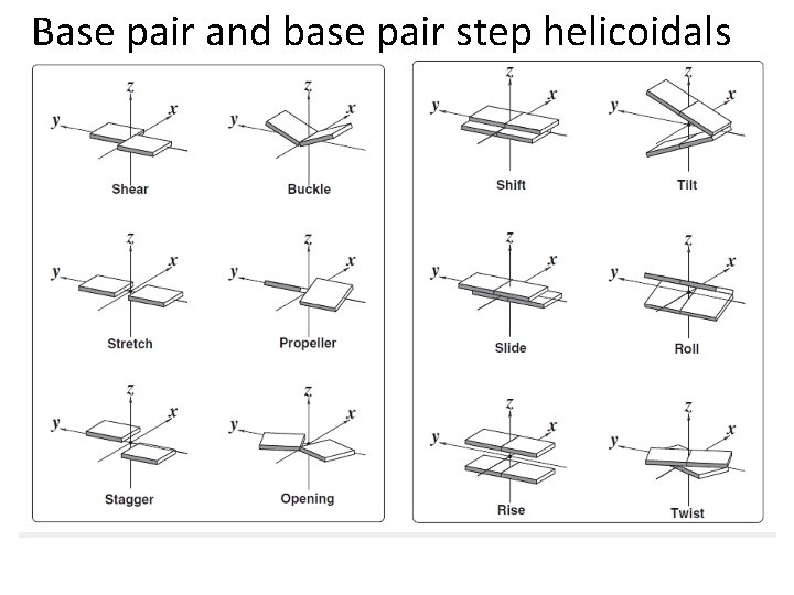Base pair and base pair step helicoidals 