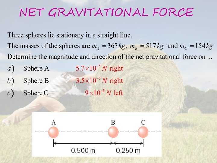 NET GRAVITATIONAL FORCE 