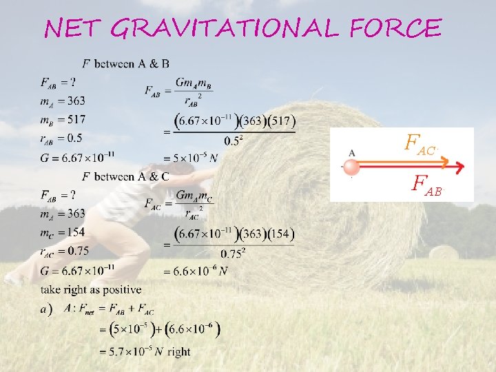 NET GRAVITATIONAL FORCE 