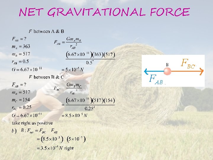 NET GRAVITATIONAL FORCE 