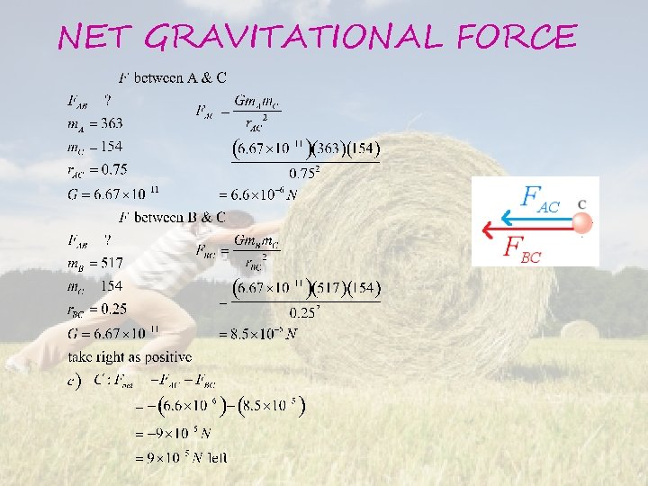NET GRAVITATIONAL FORCE 