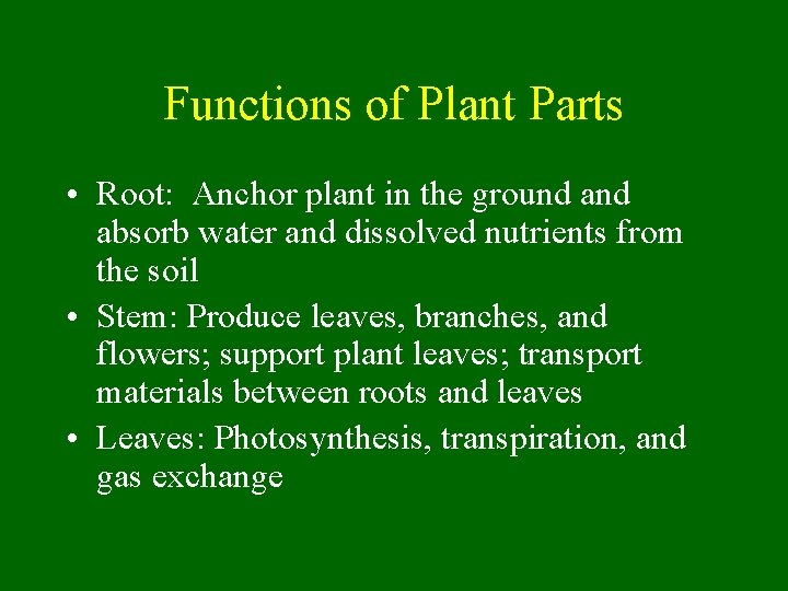 Functions of Plant Parts • Root: Anchor plant in the ground absorb water and