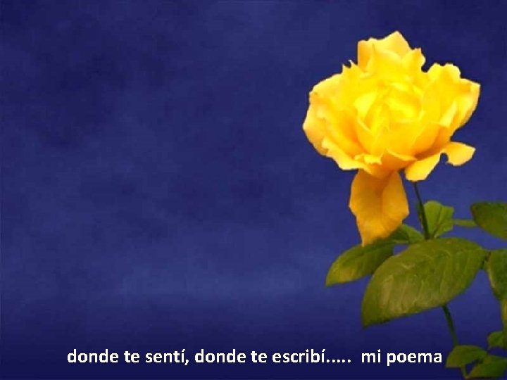 donde te sentí, donde te escribí. . . mi poema 