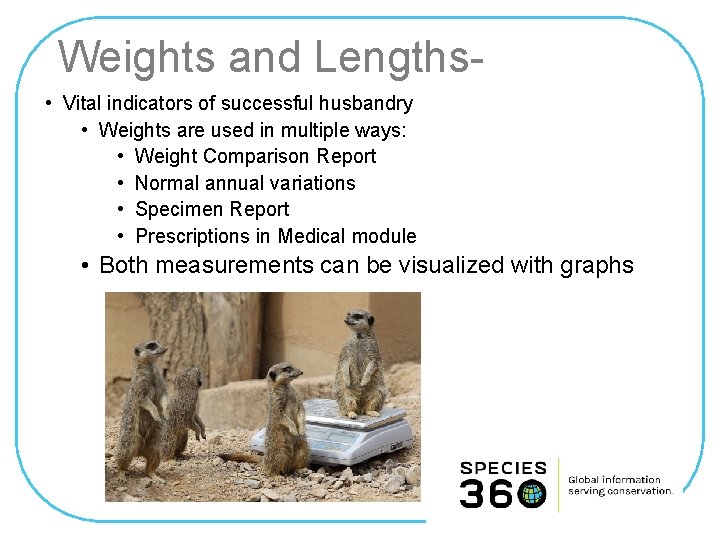Weights and Lengths • Vital indicators of successful husbandry • Weights are used in