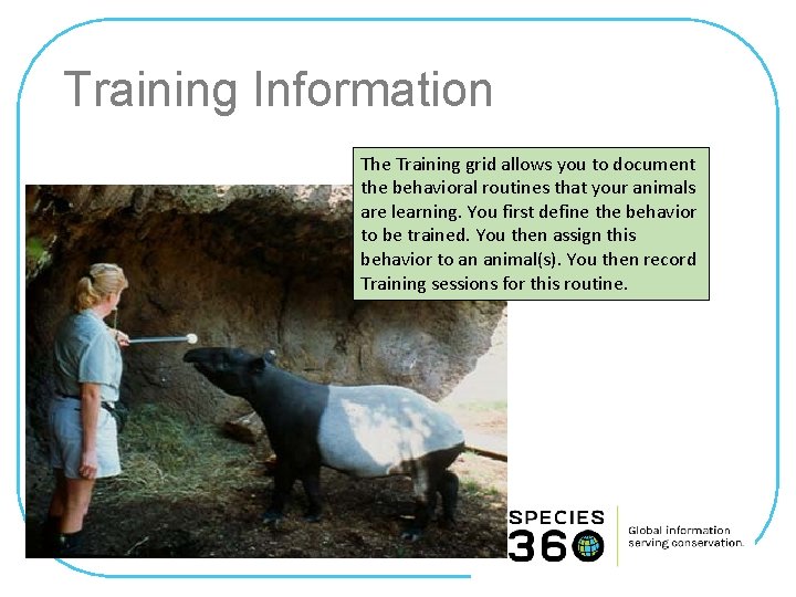 Training Information The Training grid allows you to document the behavioral routines that your